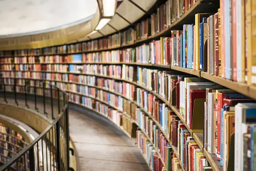 Rows of books on curved shelves.